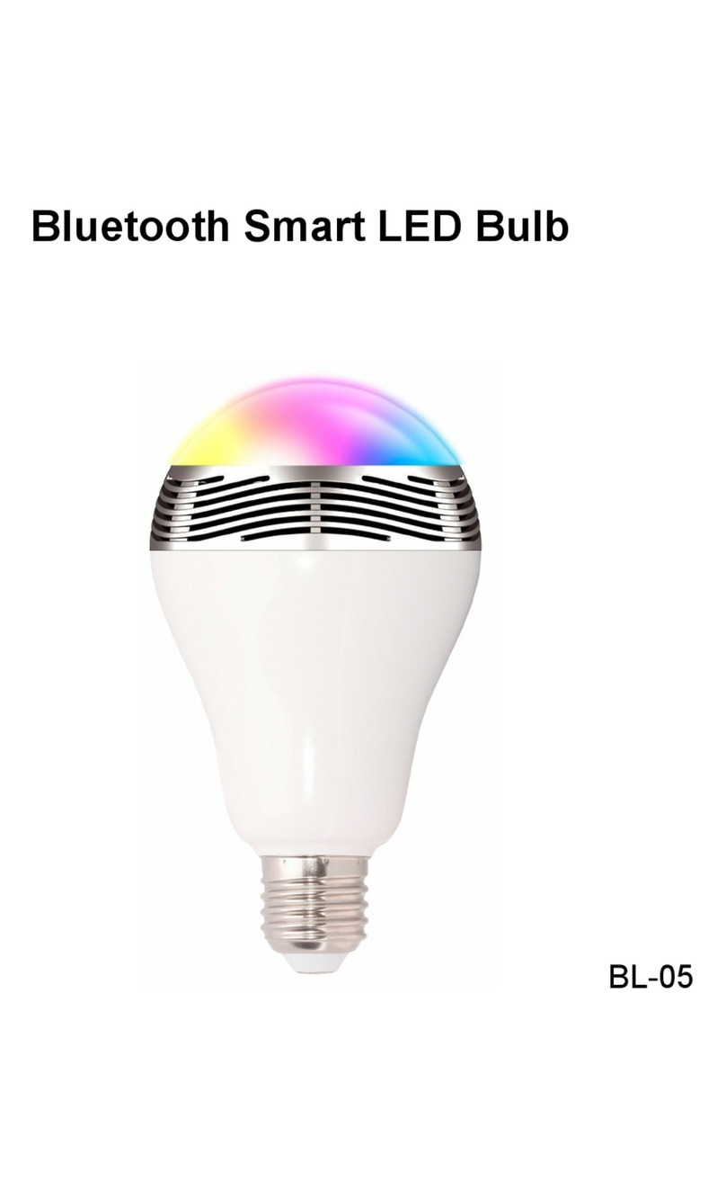 Shen Zhen Sailing Electronic BL-05 manual
