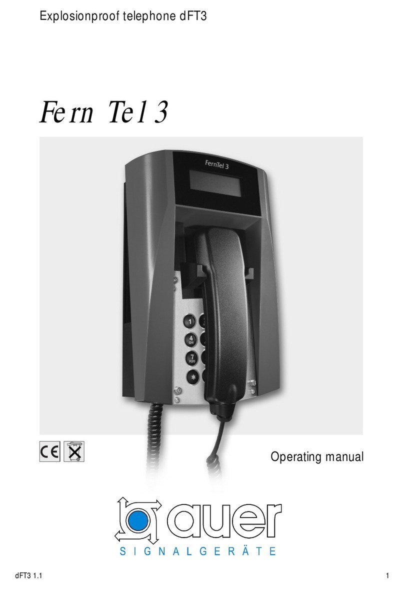 auer dFT3 operating manual