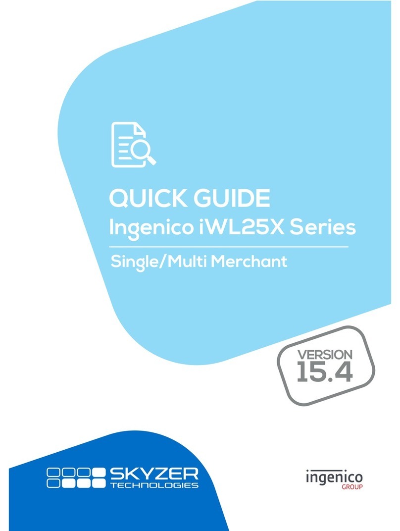 Skyzer iWL252 BLUETOOTH User manual