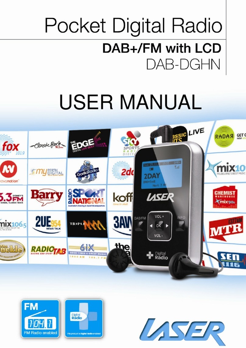 Laser DAB-DGHN User manual