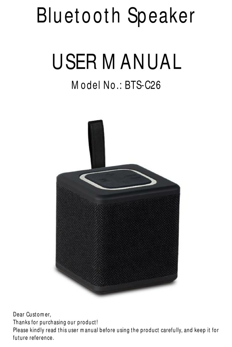 XinHuaMei BTS-C26 user manual
