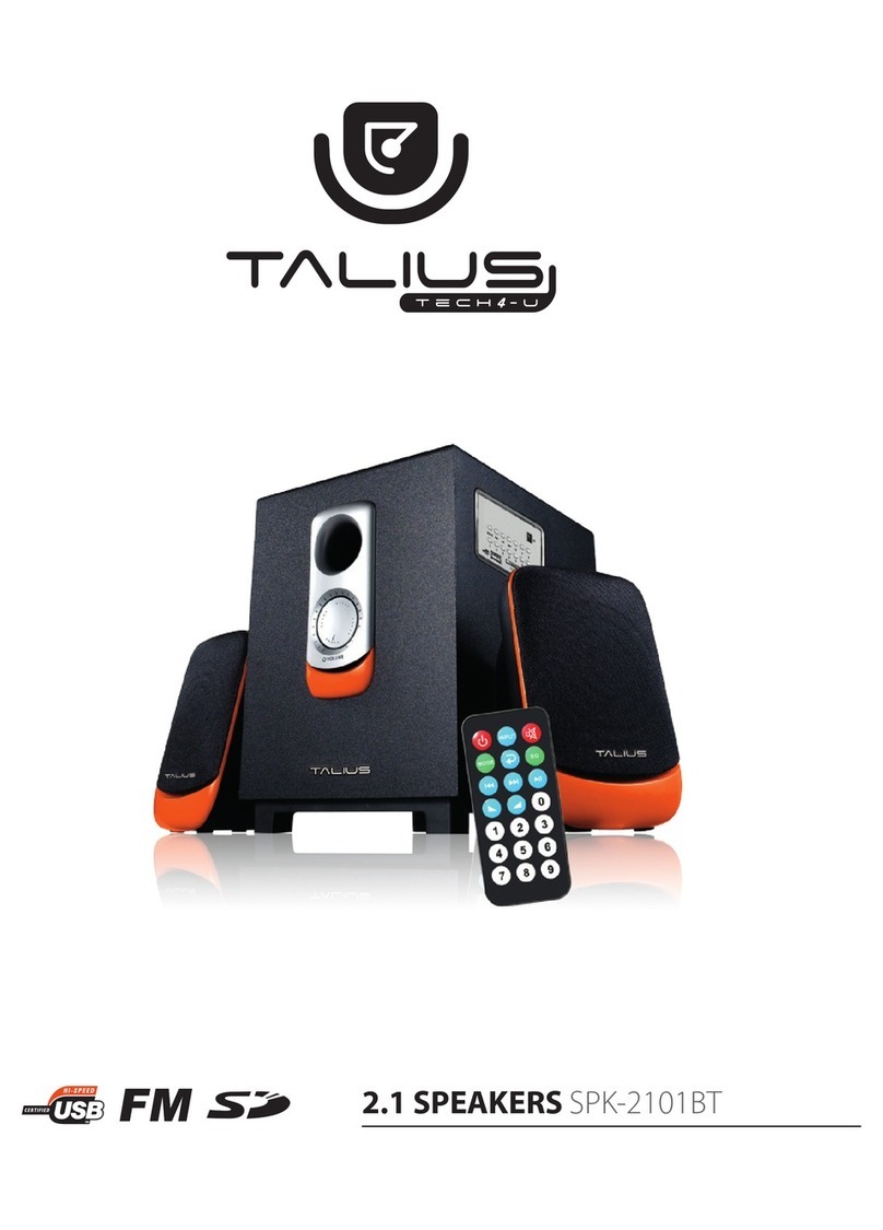 Talius SPK-2101BT User manual