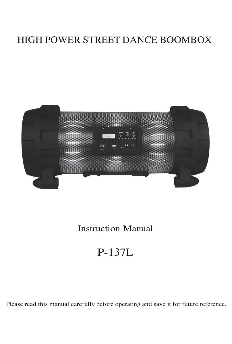 Leaderwave Electronics P-137L instruction manual