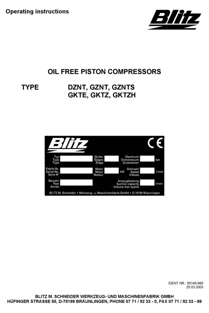 Blitz DZNT series User manual