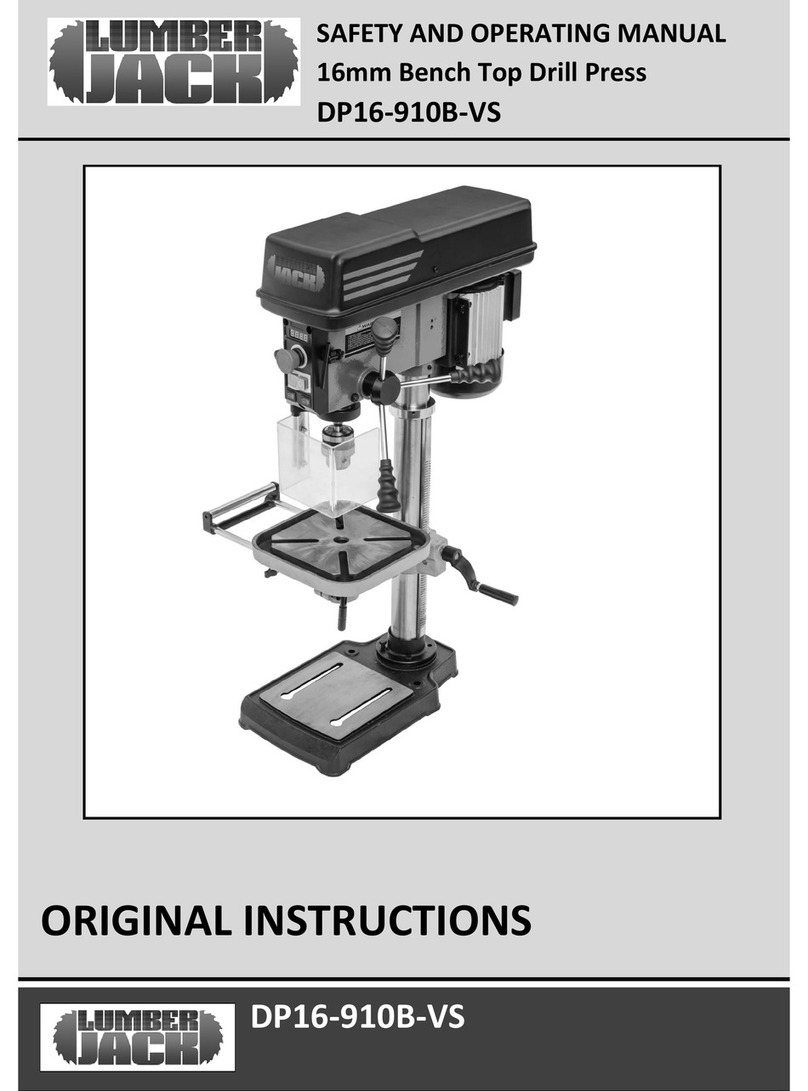 Lumberjack DP16-910B-VS User manual