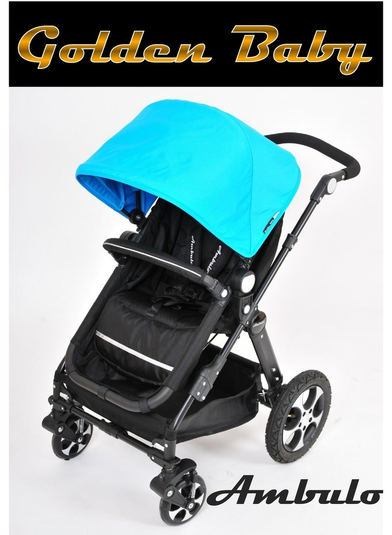 Golden Baby Ambulo User manual