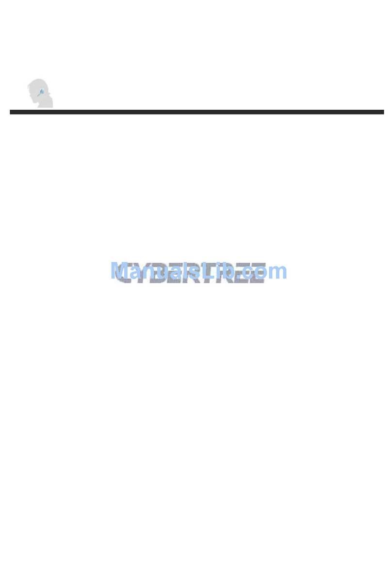 Cybertree CWH-900D user manual
