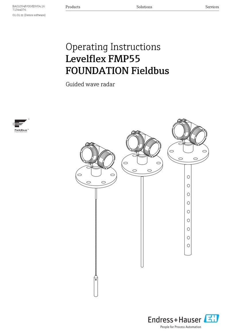 Endress+Hauser Levelflex FMP55 User manual