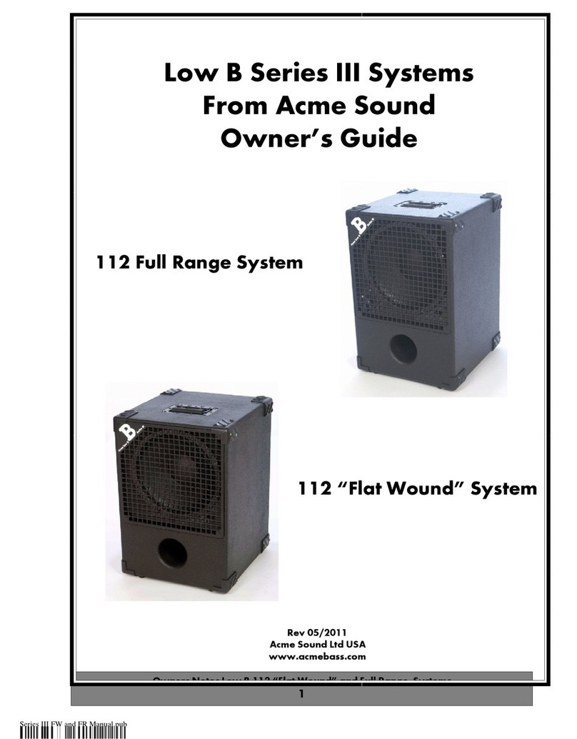 ACME sound 112 "Flat Wound" System owner's guide