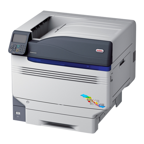 Intec CS4000 user manual