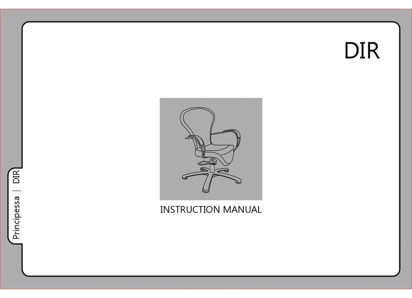DIR Principessa 1007 User manual DIR Principessa 1007 User manual