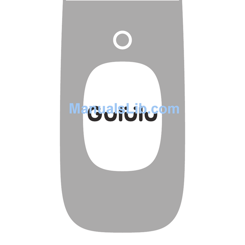 Gululu BWT1601 user guide
