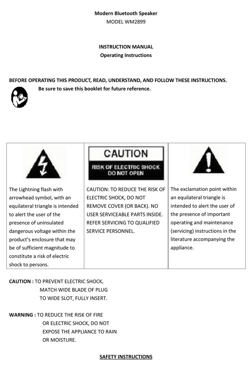 winsonic WM2899 User manual