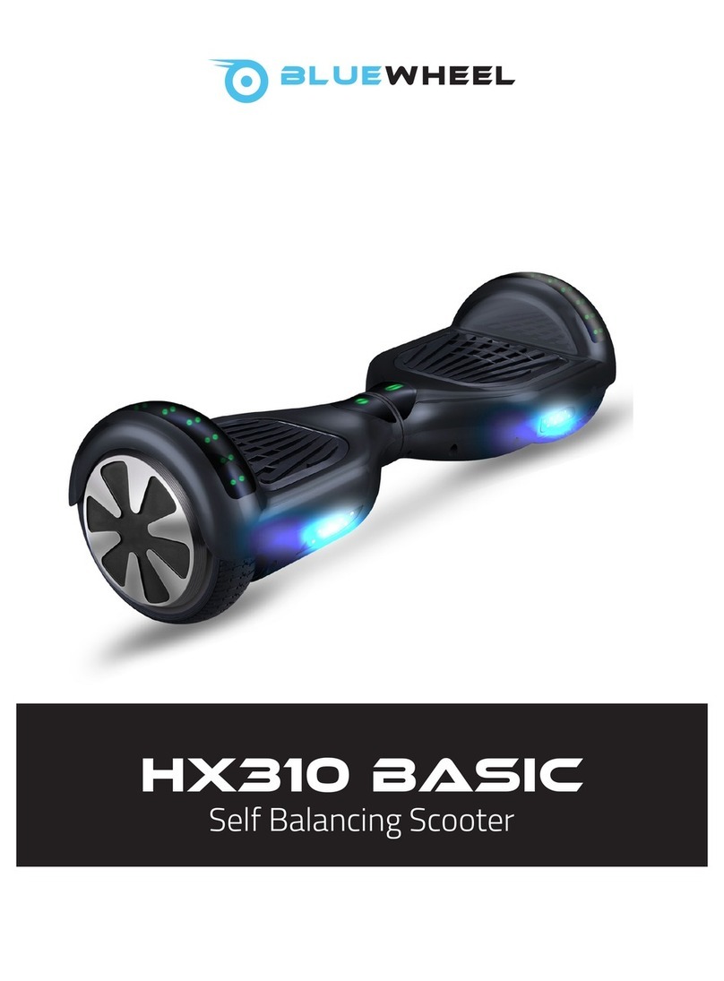 Bluewheel HX310 Basic user manual