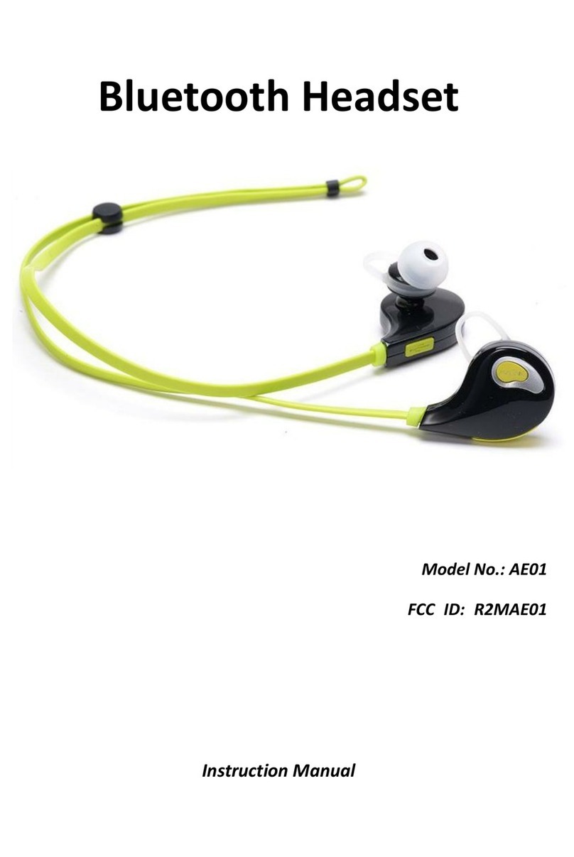 AVLink AE01 User manual