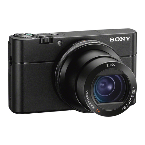 Sony Cyber-shot DSC-RX100 instruction manual