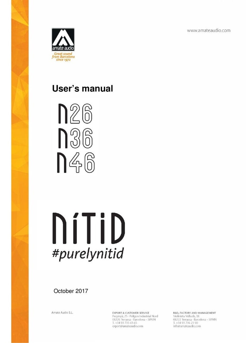 Amate Audio N26 User manual
