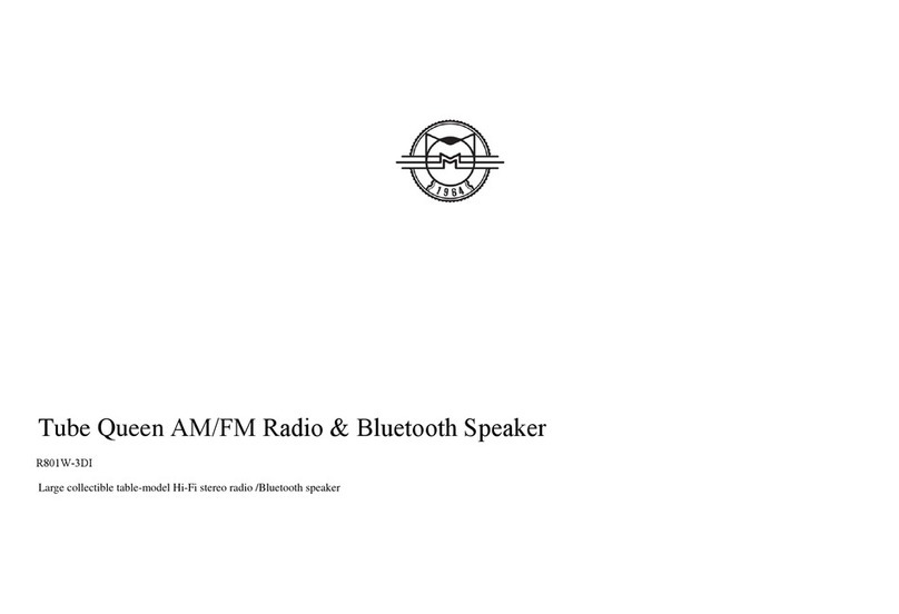 Airsmart Technology R801W-3DI user manual