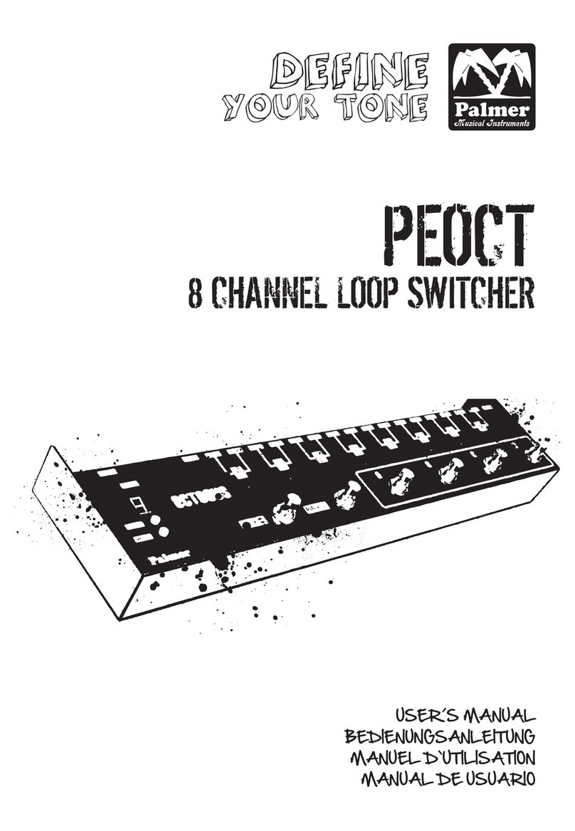 Palmer PEOCT user manual
