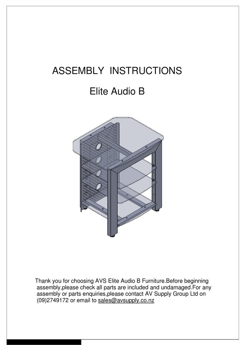 AVS Elite Audio B Assembly instructions