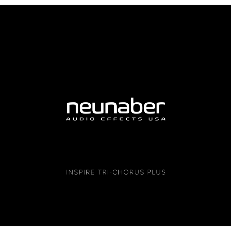 Neunaber INSPIRE TRI-CHORUS PLUS User manual
