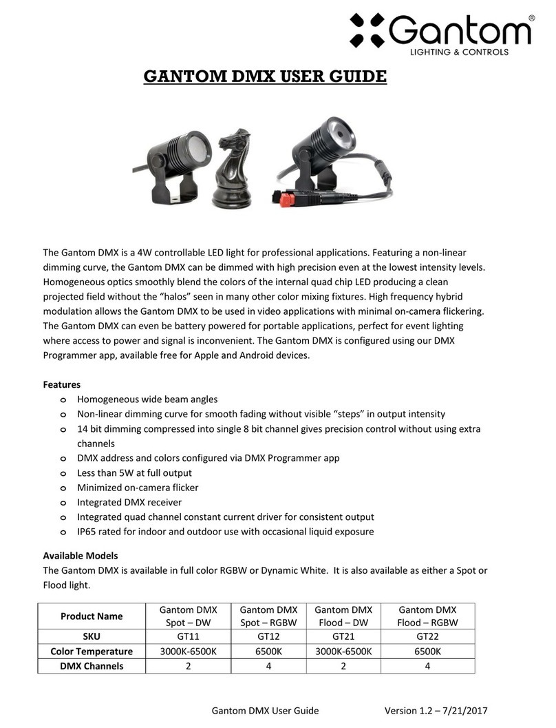 Gantom GT11 user guide