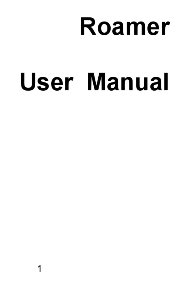 Zte Roamer User manual