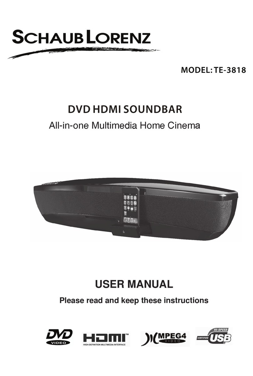 Schaub Lorenz TE-3818 user manual