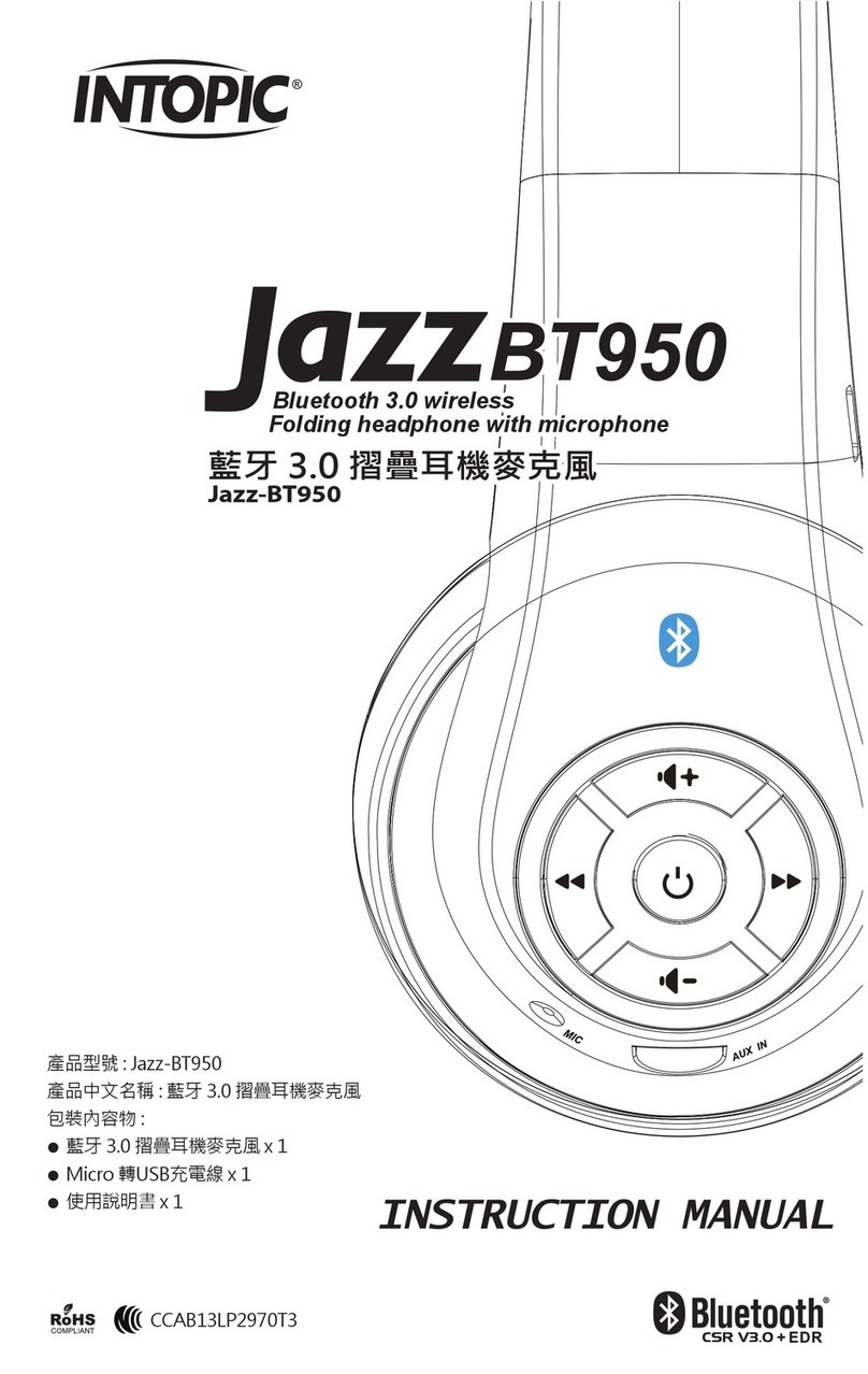 Intopic Jazz-BT950 instruction manual