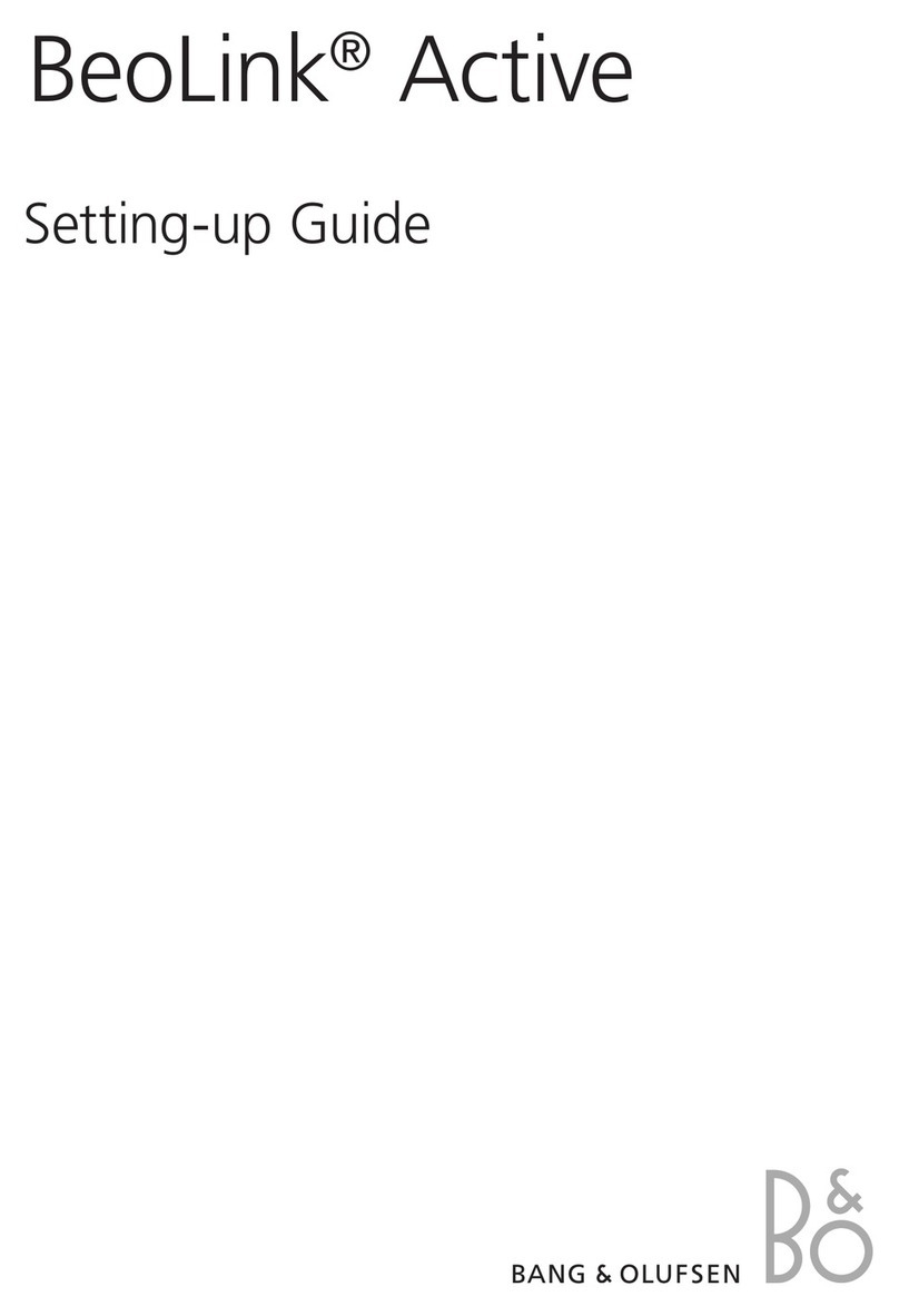 Bang & Olufsen BeoLink Active Setting-up guide