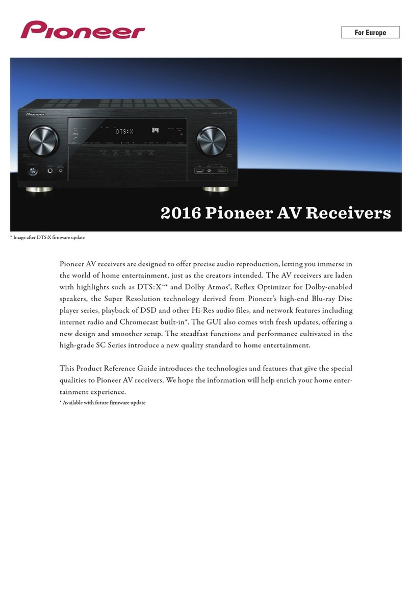 Pioneer 2016 manual