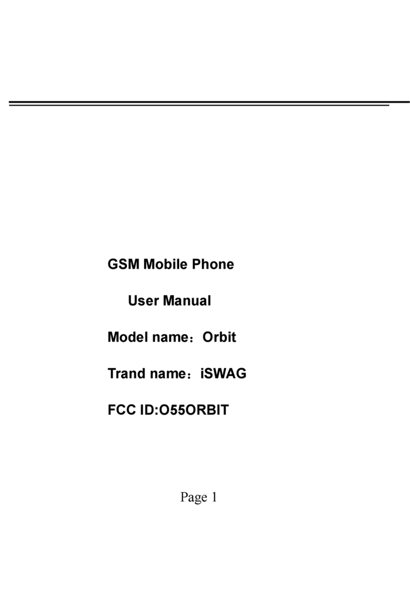 iSwag Orbit User manual