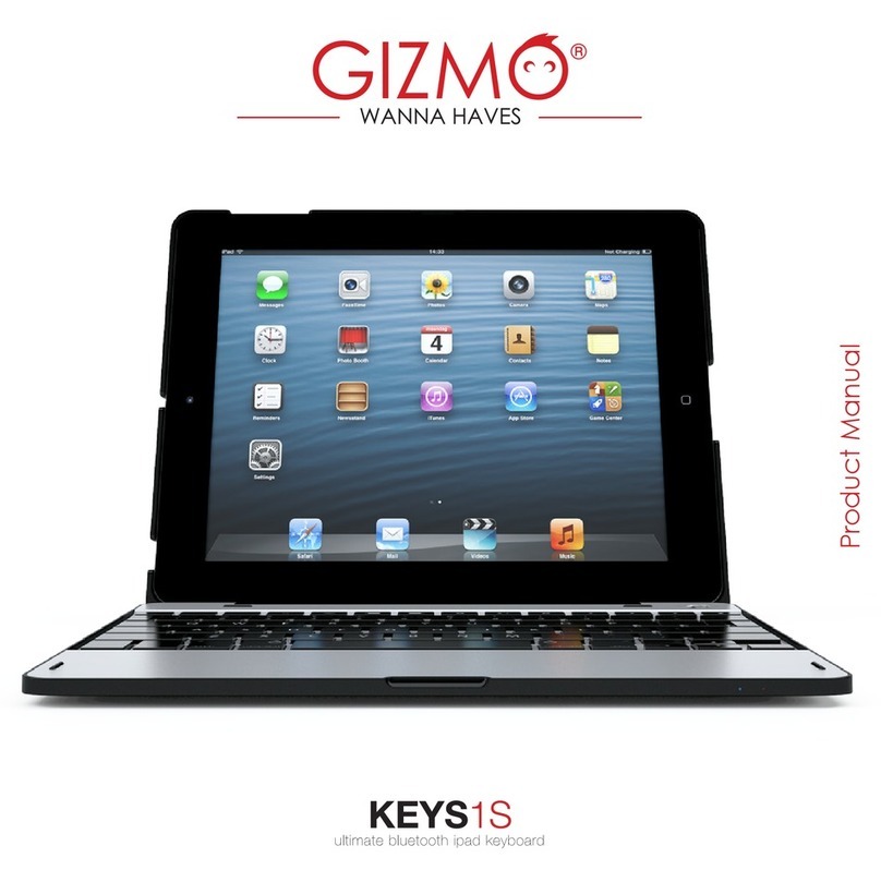 Gizmo KEYS-1S product manual