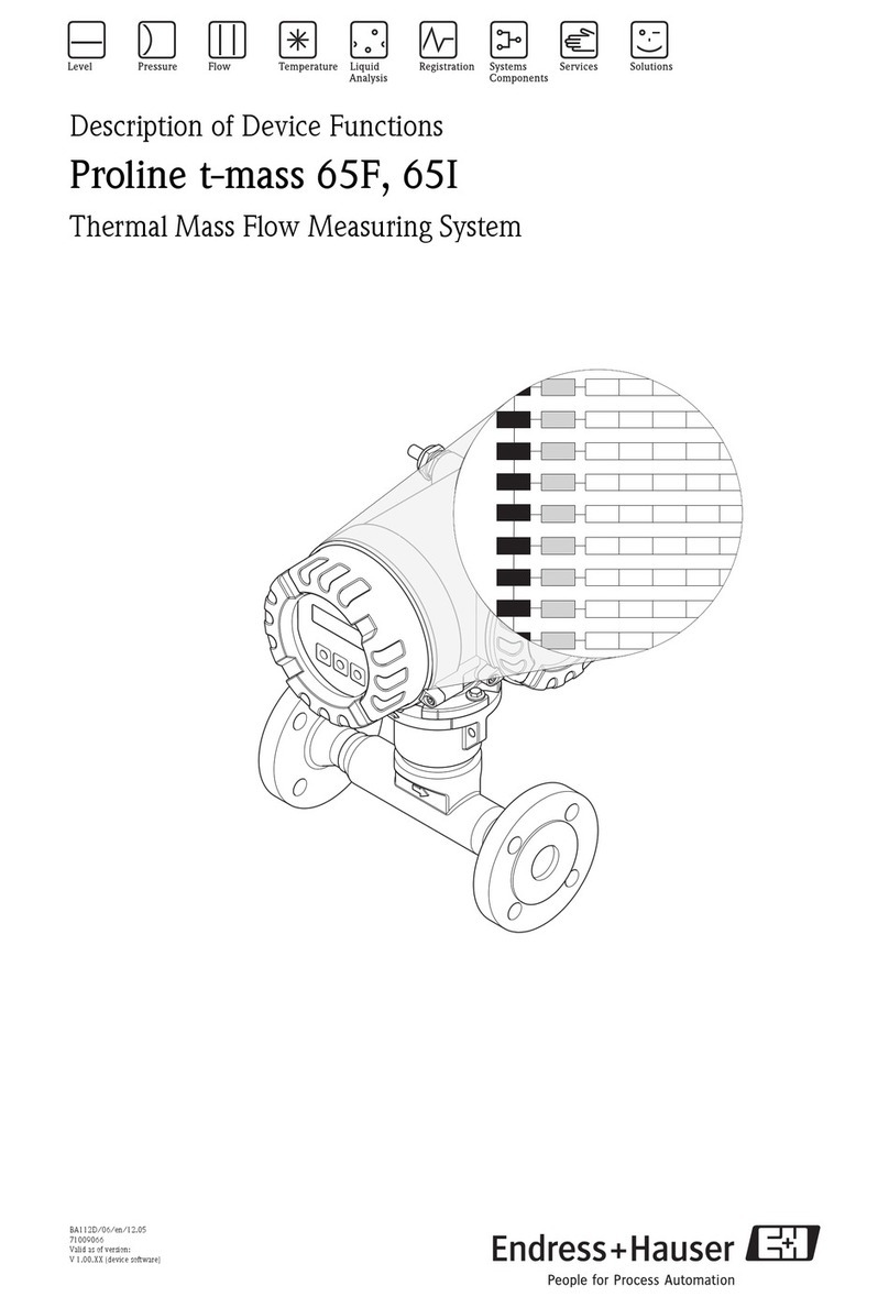 Endress+Hauser Proline t-mass 65F manual