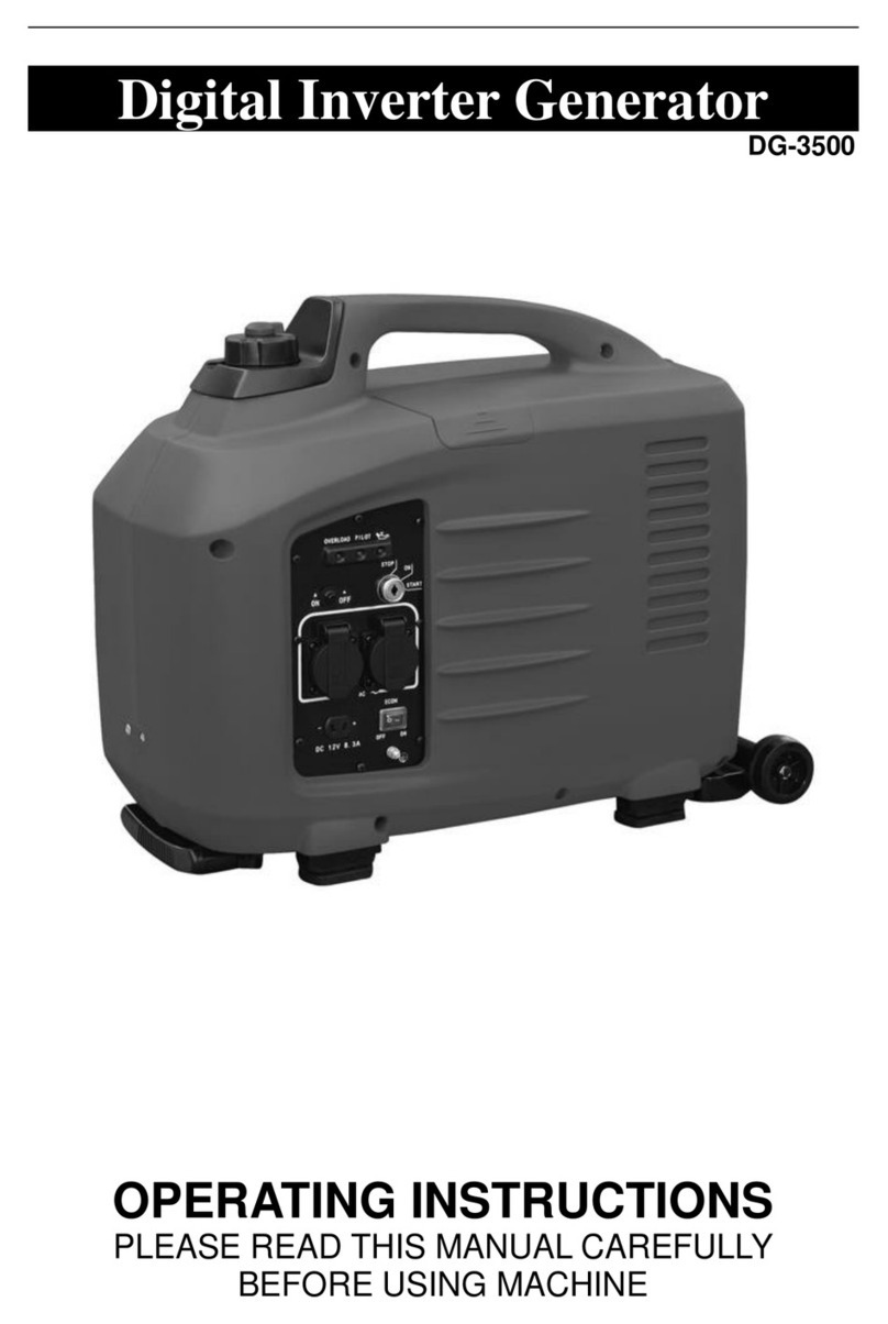 Pure Sine Wave Generators DG-3500 operating instructions