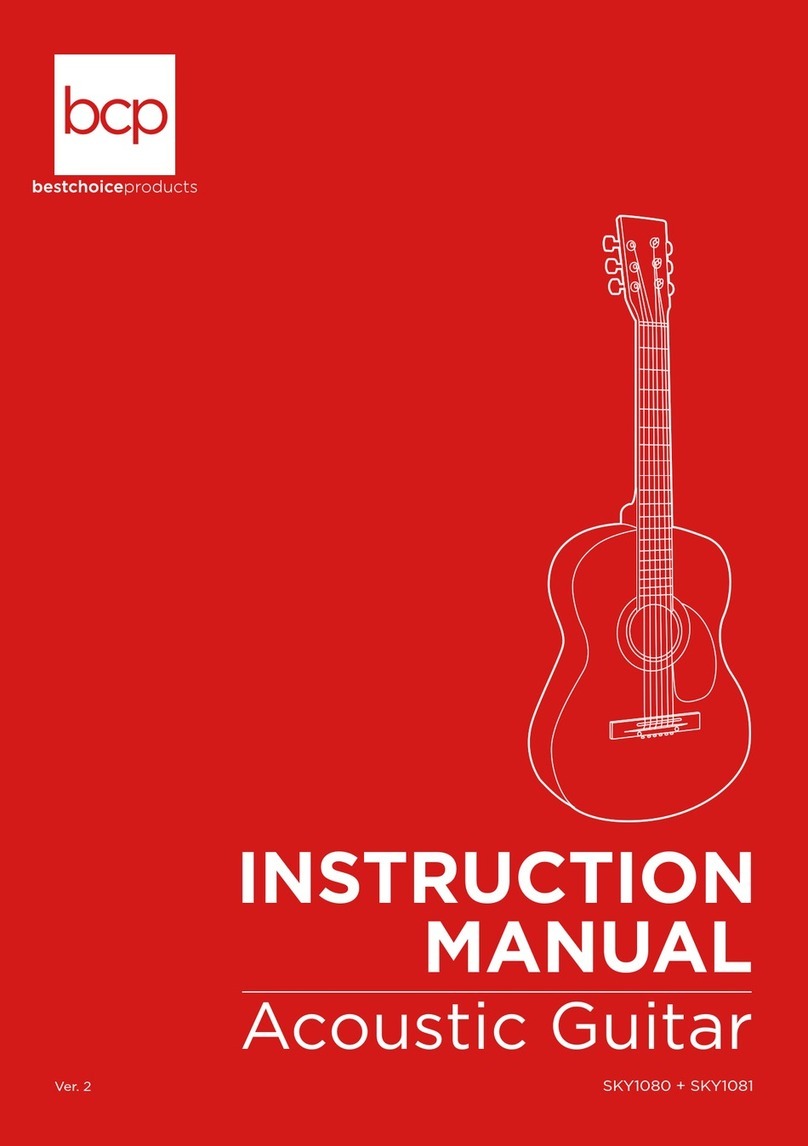 BCP SKY1080 instruction manual
