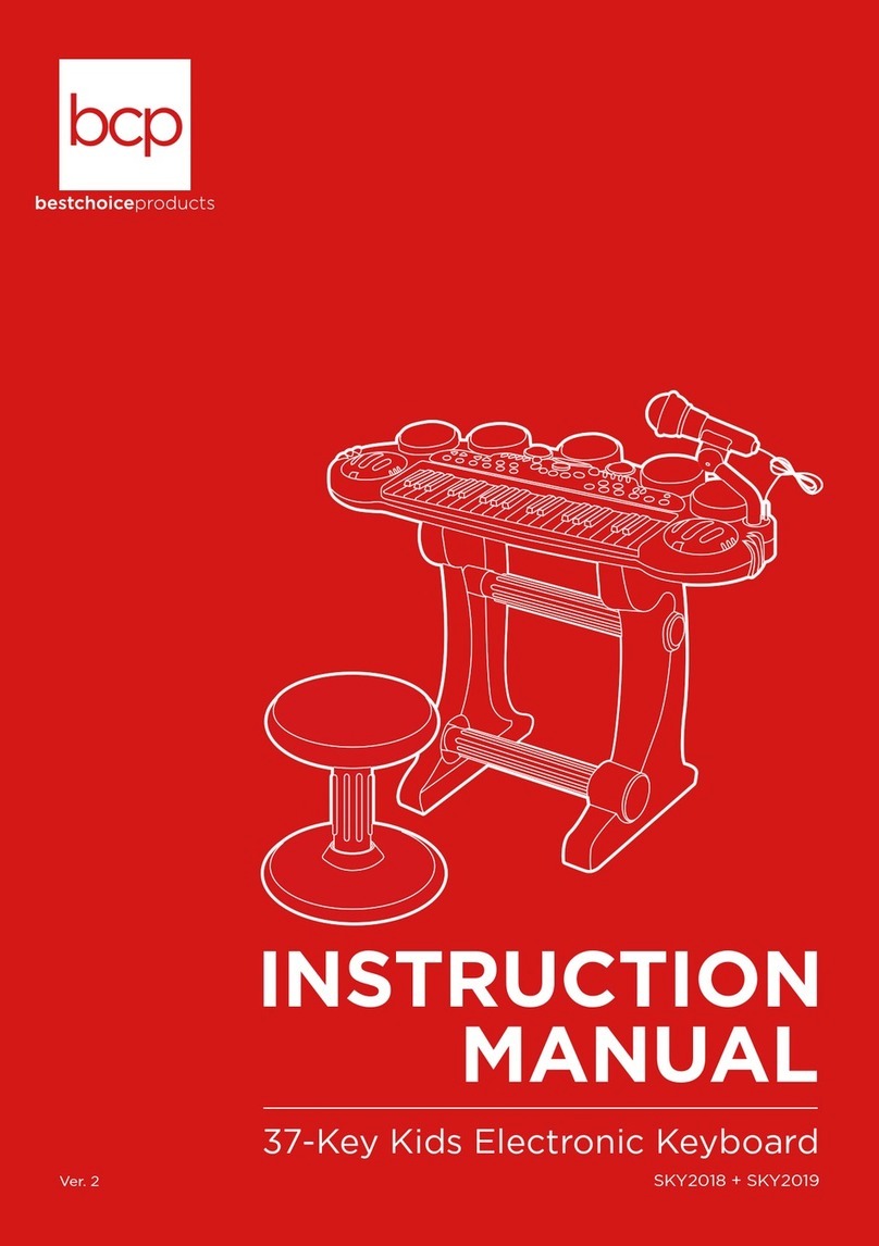 BCP SKY2018 instruction manual