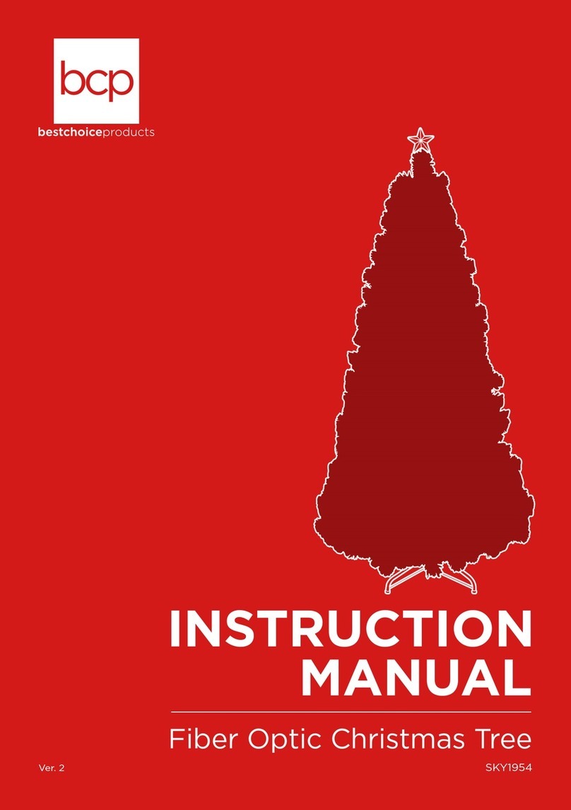 BCP SKY1954 instruction manual
