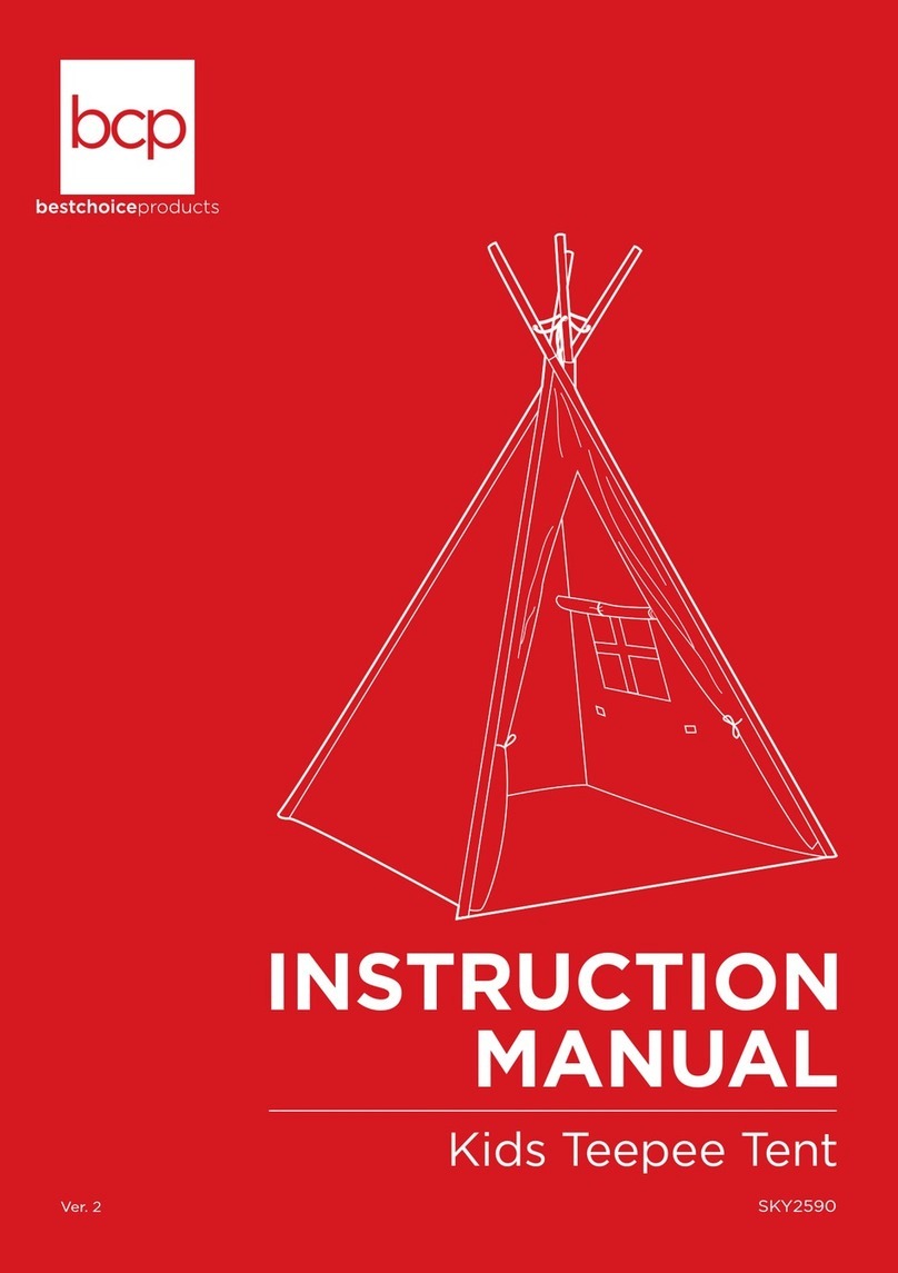 BCP SKY2590 instruction manual