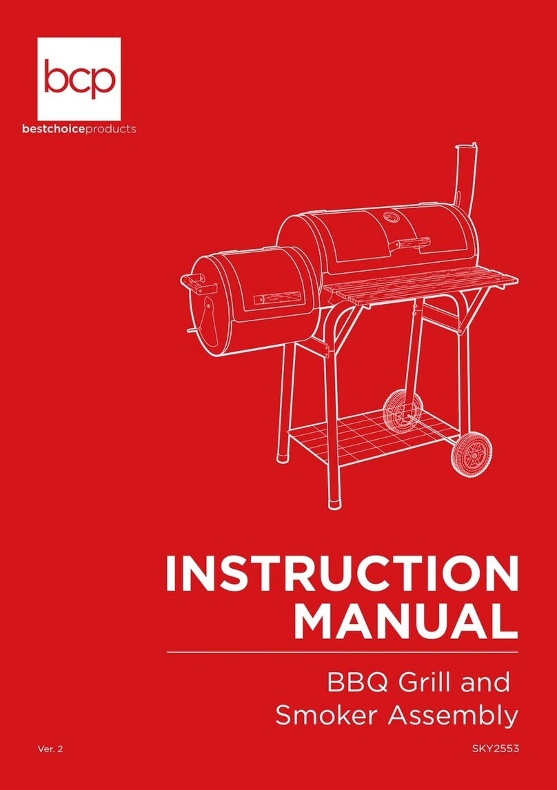 BCP SKY2553 instruction manual