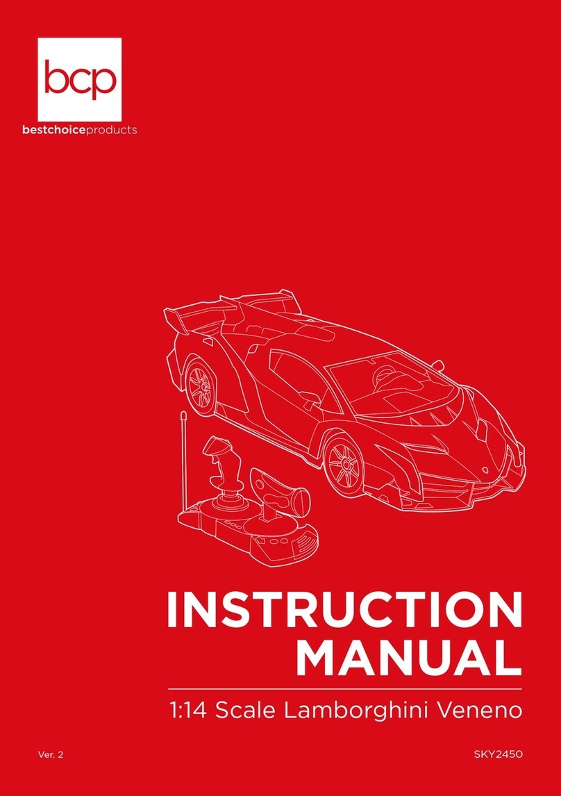 BCP SKY2450 User manual