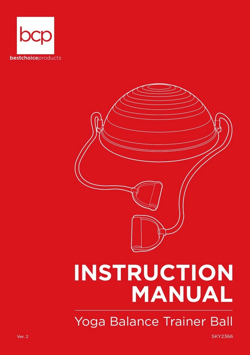 BCP SKY2366 instruction manual