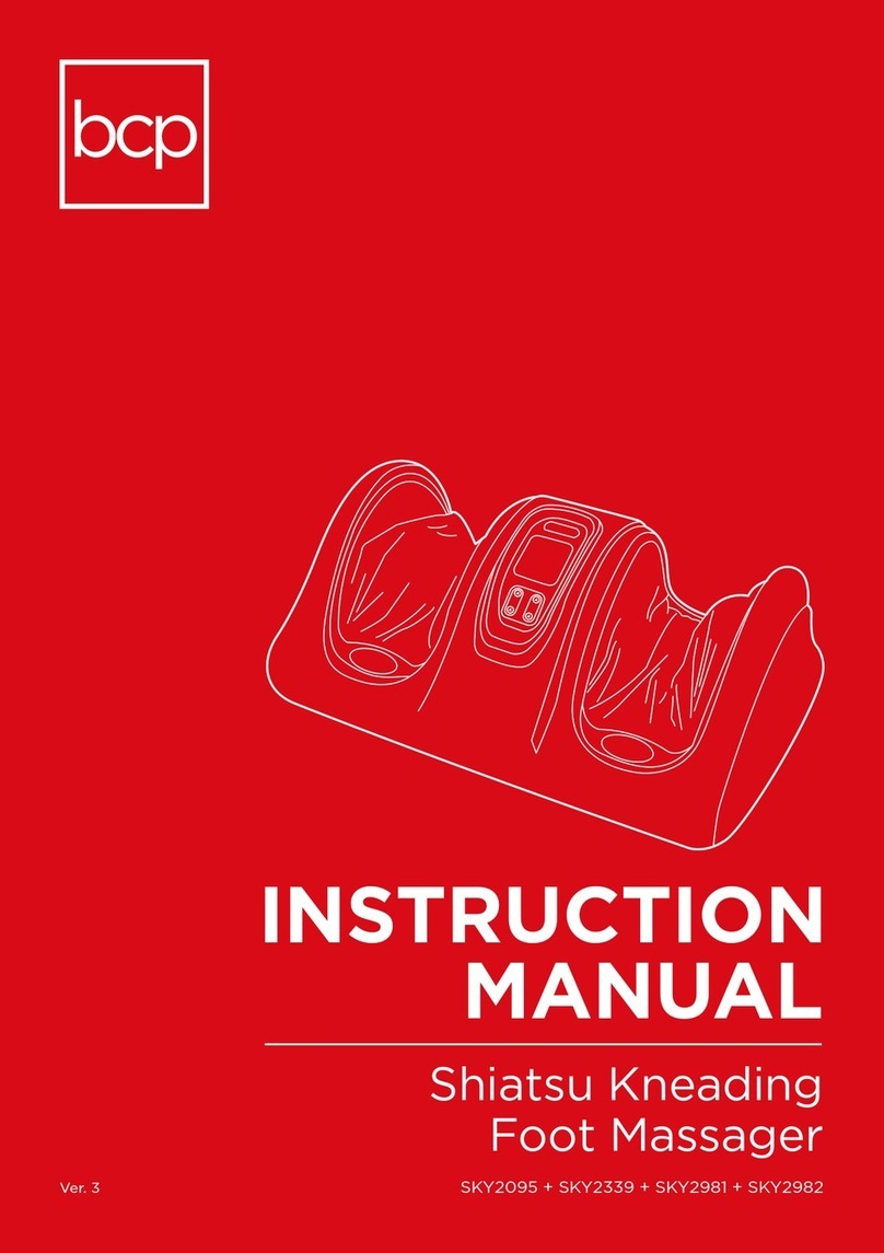 BCP SKY2095 User manual