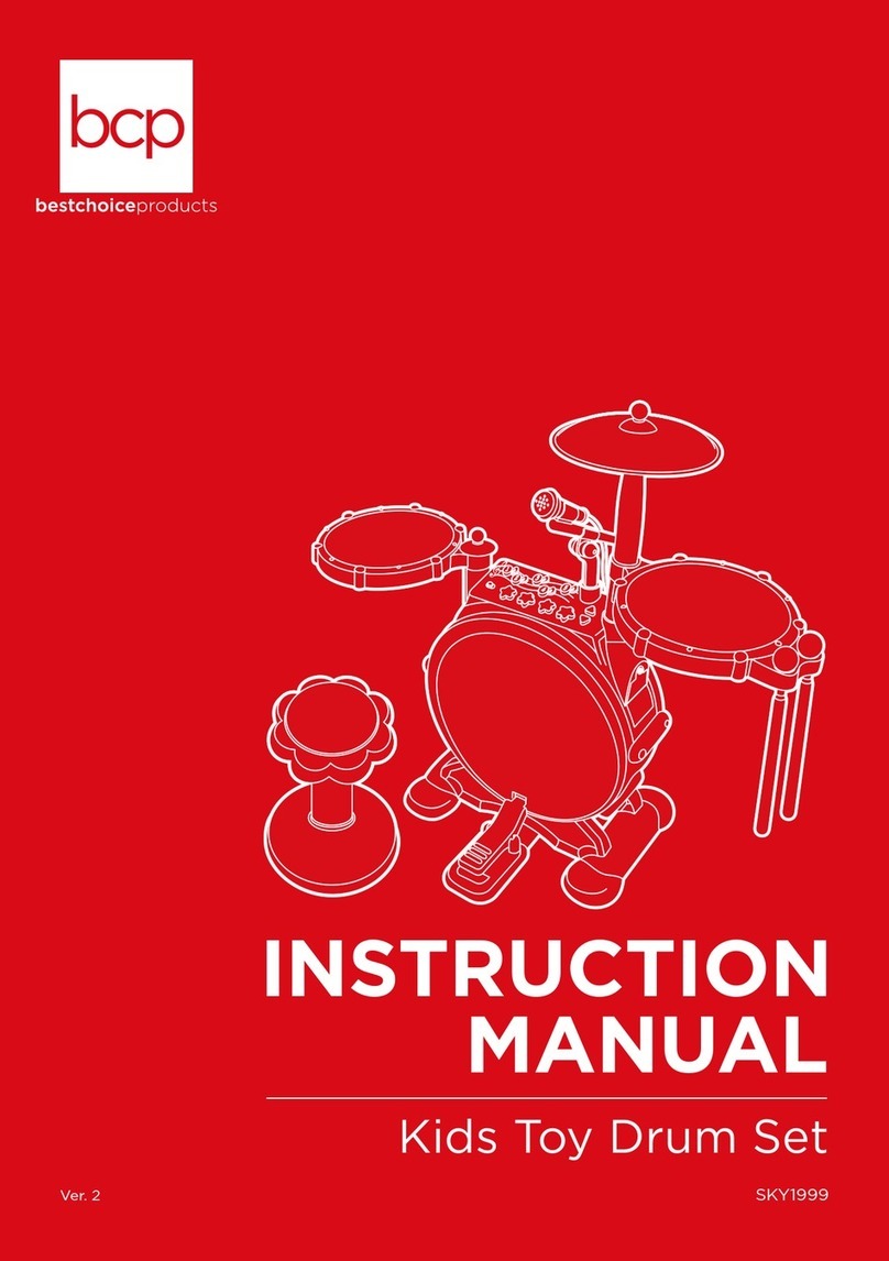 BCP SKY1999 instruction manual