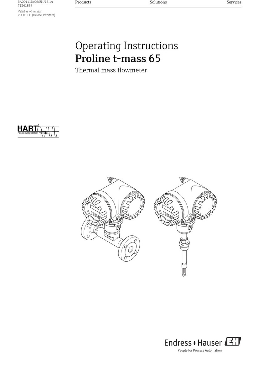 Endress+Hauser Proline t-mass 65 operating instructions