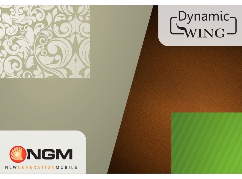 NGM dynamic wing User manual NGM dynamic wing User manual