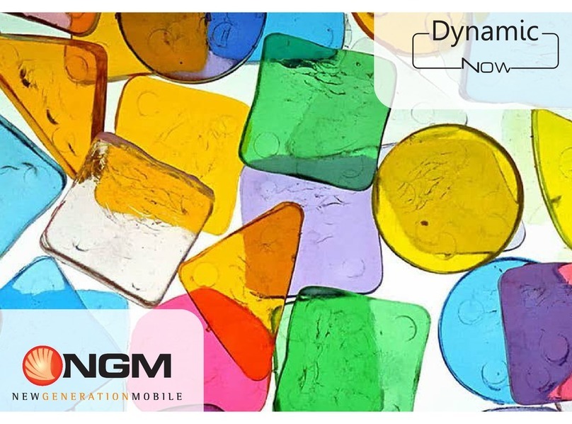 NGM dynamic now User manual