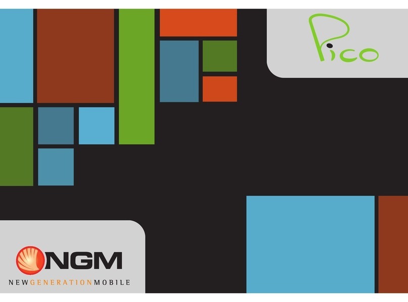 NGM Pico User manual