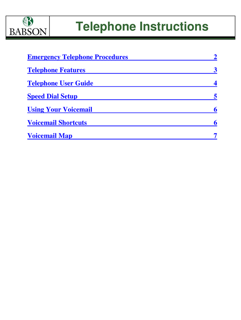 Babson NEC Dterm instructions