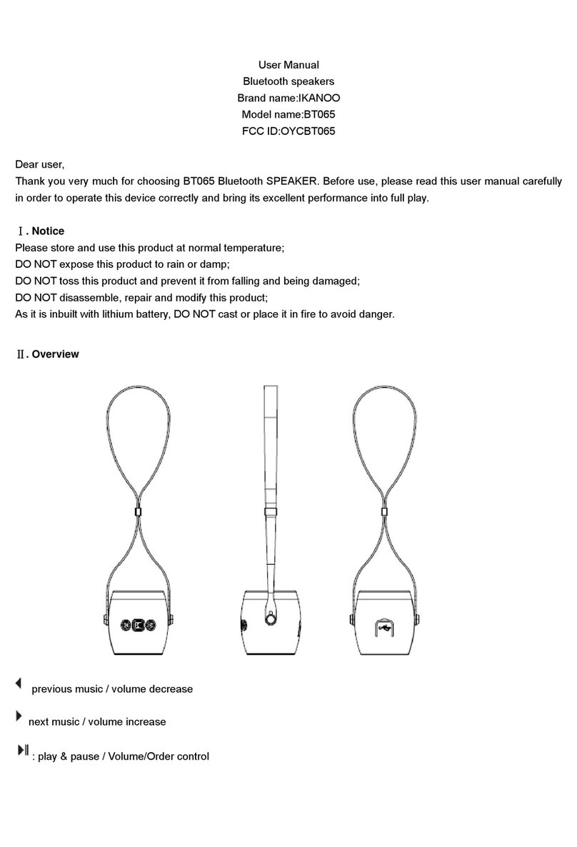 iKANOO BT065 user manual
